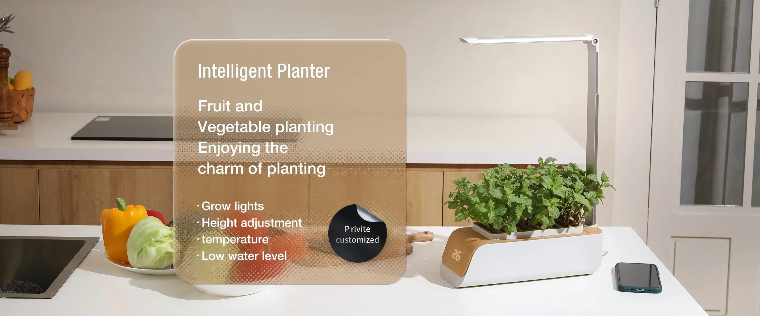 Indoor Hydroponics Growing System