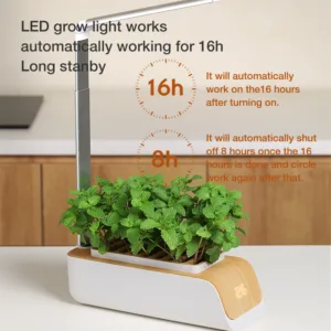 Indoor Hydroponics Growing System