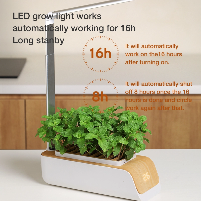 Indoor Hydroponics Growing System
