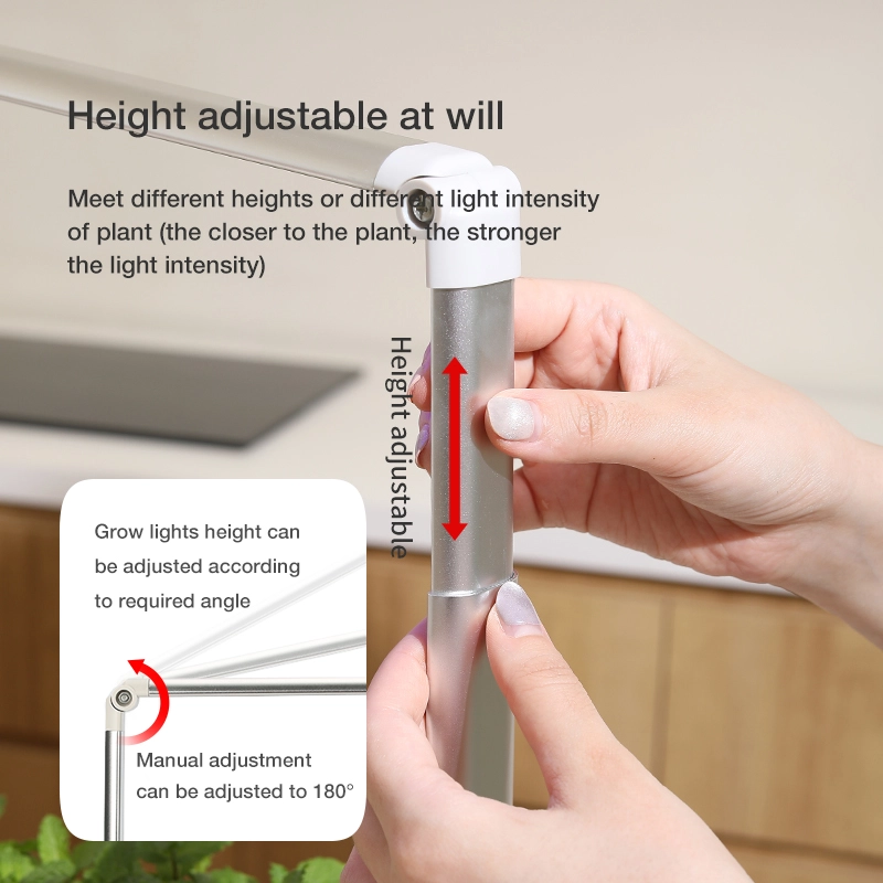 Indoor Hydroponics Growing System